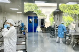 Đấu giá hệ thống máy móc sản xuất thủy tinh thể nhân tạo thuộc dự án sản xuất thủy tinh thể nhân tạo tại Khu Công nghệ cao TP.HCM. Ảnh minh họa: Internet