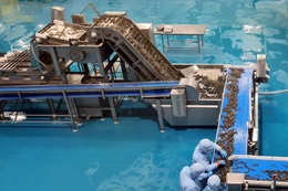 Đấu giá nhà xưởng và dây chuyền sản xuất thức ăn thủy sản Mekong Aqua với giá từ 13,7 tỷ đồng