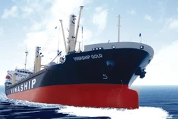 Đấu giá tàu chở hàng khô Vinaship Gold trọng tải hơn 13.000 DWT. Ảnh: Intrenet