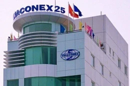 Vinaconex 25 báo lãi 35,3 tỷ đồng năm 2025, góp mặt tại 2 gói thầu lớn trước thềm 2026