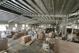 BIDV Quảng Bình đấu giá hai nhà máy gỗ Trường Thành. Ảnh minh họa: Intrenet