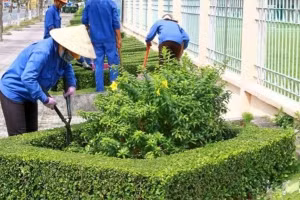 Bắc Ninh: 2 nhà thầu cạnh tranh gói thầu dịch vụ công ích 139 tỷ đồng tại phường Mão Điền