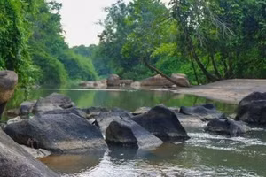 TP.HCM đầu tư 686 tỷ đồng chỉnh trang suối Vàm Vá