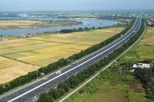 Ảnh chỉ mang tính minh họa (Ảnh: Lê Tiên)