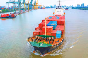 Con số nhập siêu hơn 15 tỷ USD được giới phân tích nhìn nhận như “dấu chân nhập khẩu” của một chu kỳ đầu tư đi lên. Ảnh: Minh Trí