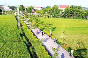 Lăng kính đấu thầu ngày 24/3