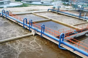 Ảnh chỉ mang tính minh họa: Internet