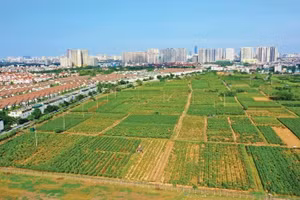 Cơ cấu lĩnh vực của các dự án được tổ chức đấu thầu lựa chọn nhà đầu tư năm 2025 cho thấy lĩnh vực đầu tư xây dựng khu đô thị và khu dân cư nông thôn tiếp tục chiếm tỷ trọng chủ yếu. Ảnh chỉ mang tính minh họa: Lê Tiên
