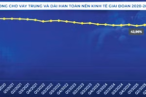 Nguồn: Cục Thống kê, Ngân hàng Nhà nước, FiinGroup, VWA