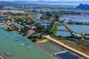 Quảng Ninh: 1 nhà thầu tham dự gói thầu hạ tầng khu tái định cư hơn 115 tỷ đồng