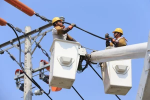 Ảnh chỉ mang tính minh họa