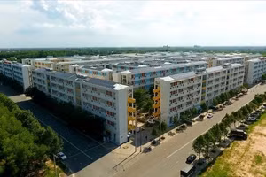 Đề xuất Nhà nước xây dựng cơ chế hỗ trợ phù hợp để phát triển nhà ở cho thuê, nhà ở vừa túi tiền