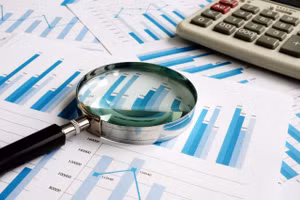 Deloitte Việt Nam trúng gói thầu kiểm toán 65,7 tỷ đồng tại EVN