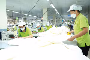 Báo chí là kênh thông tin giúp doanh nghiệp và người dân kịp thời nắm bắt, thực thi chính sách một cách đúng đắn, đồng thời tận dụng tốt các cơ hội cũng như phòng tránh rủi ro. Ảnh: Gia Khoa