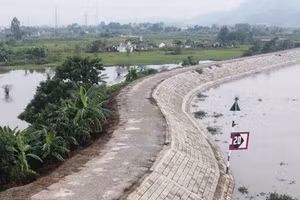 Bắc Ninh đầu tư gần 400 tỷ đồng nâng cấp và cải tạo đê hữu Thương