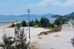 Ảnh minh họa: Internet