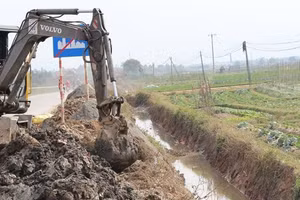 Ảnh minh họa internet