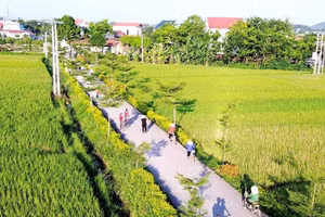 Điểm tin kế hoạch lựa chọn nhà thầu một số gói thầu lớn ngày 18/5/2026
