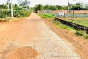 Một nhà thầu tham dự gói thầu xây đường Nguyễn Đình Chiểu nối dài tại Đắk Lắk