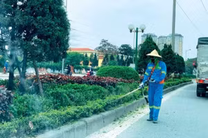 Ảnh minh họa: Nhã Chi