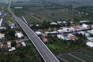 Lựa chọn nhà thầu làm đường phát triển vùng Đồng Tháp Mười (giai đoạn 1)