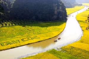 Ninh Bình: 650 tỷ đồng chỉnh trang tuyến đường Tam Cốc - Bích Động