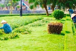 Công ty Công viên cây xanh TP.HCM trúng 3 gói thầu hơn 1.002 tỷ đồng