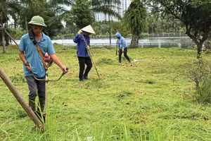 Ảnh chỉ mang tính minh họa