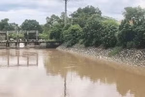 Hà Nội: 318 tỷ đồng nâng cấp hệ thống kênh tiêu Hiệp Thuận kết hợp đường giao thông