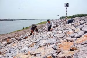 Hà Nội: Gần 380 tỷ đồng nâng cấp đê Hữu Hồng kết hợp đường giao thông tại Sơn Tây