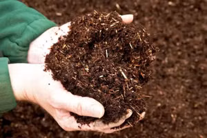 Cần sớm xây dựng chương trình khoa học - công nghệ về phân bón nhằm tăng hiệu quả sử dụng, giảm phụ thuộc vào nhập khẩu