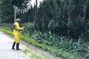 Nguyên nhân chậm lựa chọn nhà thầu gói thầu dịch vụ công ích tại Đắk Lắk được lý giải là do quá trình sắp xếp, kiện toàn bộ máy tổ chức của chủ đầu tư kéo dài. Ảnh: Lê Thanh Tùng