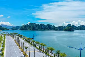 Điểm tin kế hoạch lựa chọn nhà thầu một số gói thầu lớn ngày 8/4/2026