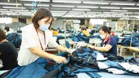 Đến cuối tháng 6, tín dụng cho khu vực kinh tế tư nhân đạt trên 18,2 triệu tỷ đồng. Ảnh: Tiên Giang 
