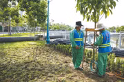 Thị trường dịch vụ công ích tại TP.HCM ngày càng chuyên nghiệp hóa nhằm quản lý, vận hành hiệu quả mạng lưới hạ tầng kỹ thuật đô thị rộng lớn sau sáp nhập. Ảnh: Song Lê