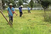 Dịch vụ công ích là các công việc mang tính lặp lại theo chu kỳ, kỹ thuật thực hiện tương đối đơn giản. Ảnh: Tiến Giang