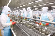 Chính sách tài khóa mở rộng có trọng tâm, trọng điểm được kỳ vọng là đòn bẩy thúc đẩy tăng trưởng kinh tế bền vững trong giai đoạn tới. Ảnh: Gia Khoa