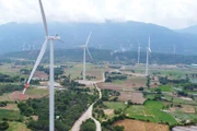 Nhiều dự án điện gió sẽ được khởi công vào dịp 19/12/2025. Ảnh: Phú An