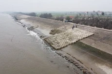 Ảnh minh họa: Internet