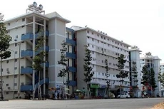 Ảnh chỉ mang tính minh họa: Internet