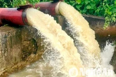 Ảnh minh họa: Internet