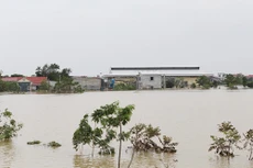 Bắc Ninh dự chi hơn 2.000 tỷ đồng xử lý khẩn cấp sạt lở, nâng cấp đê, trạm bơm