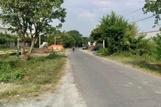 Ảnh minh họa: Internet