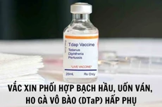 Ảnh minh hoạ: Internet