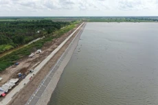 Ảnh minh họa: Internet