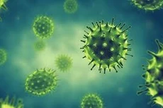 Bộ Y tế bổ sung 12 bệnh truyền nhiễm thuộc nhóm A, B