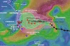 Cục Đường sắt Việt Nam yêu cầu các đơn vị chủ động tập trung vật tư, thiết bị và nhân lực sẵn sàng khắc phục hậu quả mưa, lũ. Ảnh: Internet