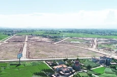 Ảnh minh hoạ: Internet