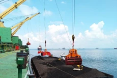 Ảnh minh họa: Internet