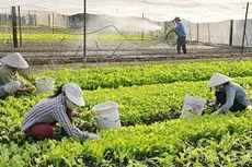 Tìm giải pháp tháo gỡ nguồn lực tài chính để phát triển kinh tế tập thể